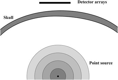 Numerical Evaluation of the Influence of Skull Heterogeneity on Transcranial Ultrasonic Focusing